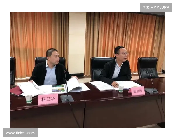 红字装备净化策略对品质提升的影响与优化方案探讨 红字装备净化策略对品质提升的影响与优化方案探讨