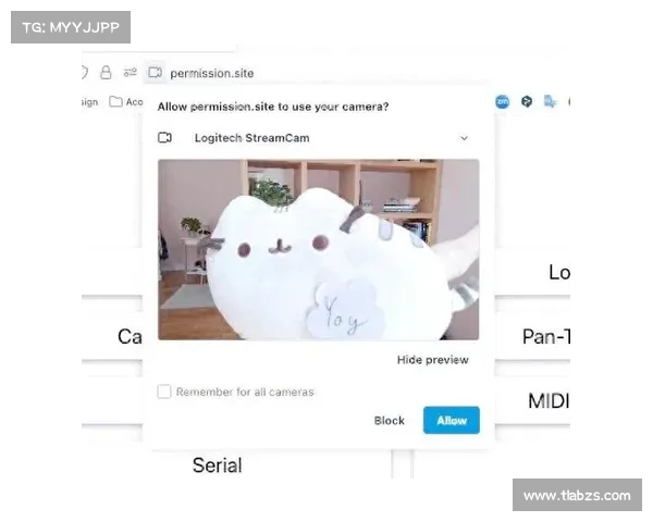 火狐浏览器最新功能全面解析与应用案例探讨 火狐浏览器最新功能全面解析与应用案例探讨
