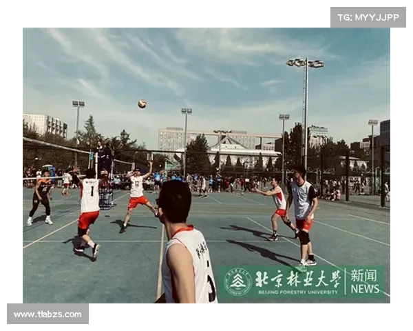 如何及时获取土耳其足球队最新比赛动态和成绩更新